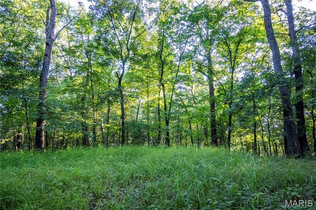 161 Van Booven Lane, Hermann, MO 65041