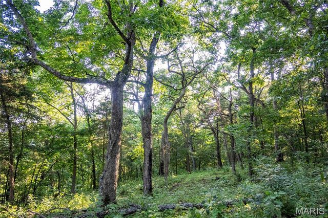 161 Van Booven Lane, Hermann, MO 65041