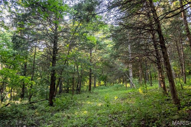 161 Van Booven Lane, Hermann, MO 65041