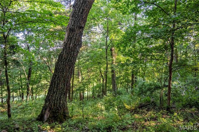 161 Van Booven Lane, Hermann, MO 65041