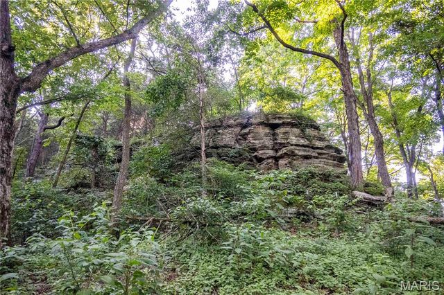 161 Van Booven Lane, Hermann, MO 65041