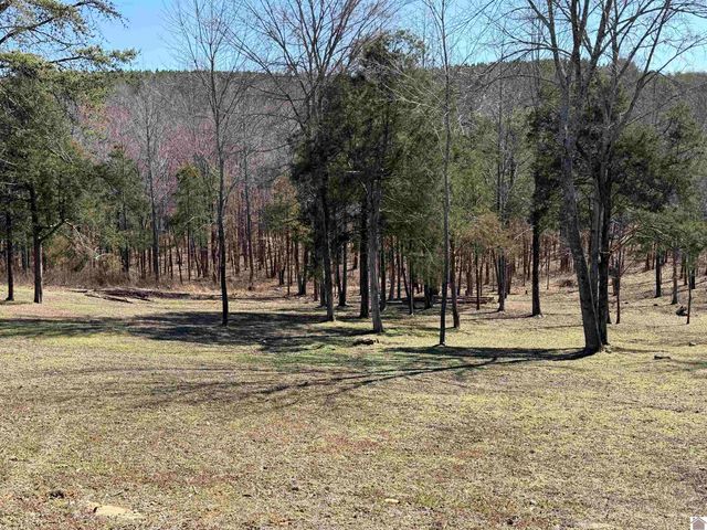 1249 Fairview Church Road, Princeton, KY 42445