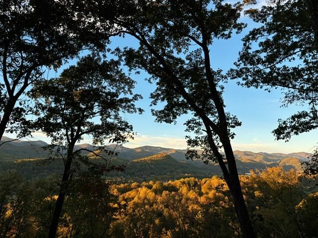 Lot 43 Silo View, Marble, NC 28905