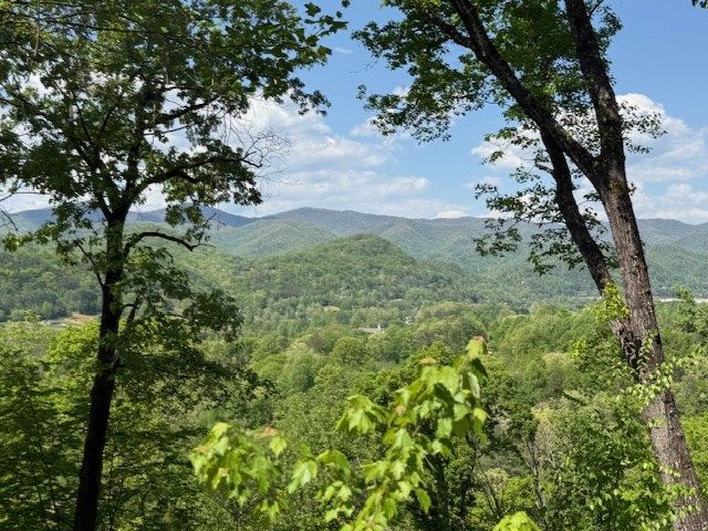 Lot 43 Silo View, Marble, NC 28905