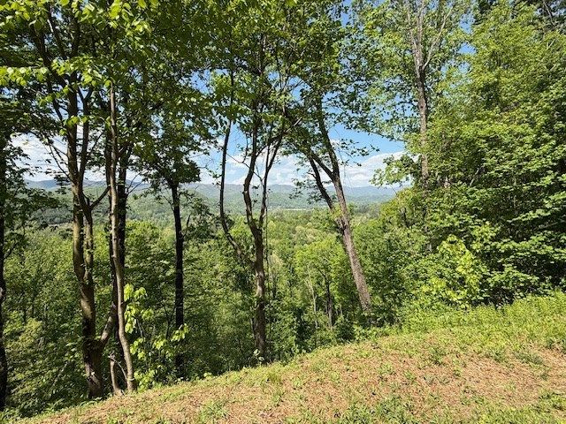 Lot 43 Silo View, Marble, NC 28905