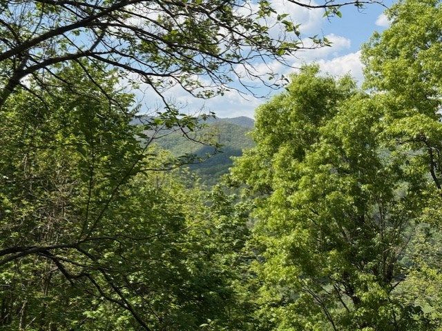 Lot 43 Silo View, Marble, NC 28905