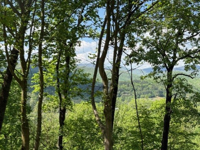 Lot 43 Silo View, Marble, NC 28905