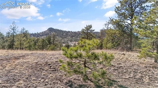 567 Ranch Resorts Drive, Florissant, CO 80816