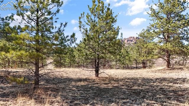 567 Ranch Resorts Drive, Florissant, CO 80816