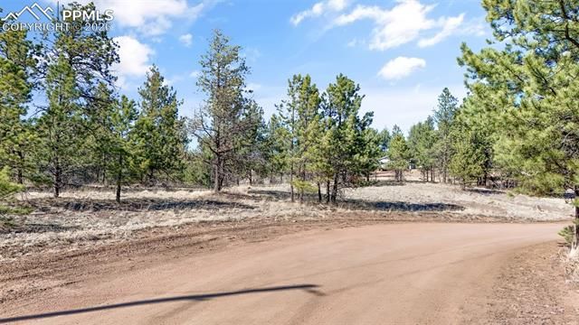 567 Ranch Resorts Drive, Florissant, CO 80816