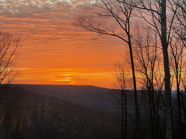 303 N Lake Dr, Altamont, TN 37301