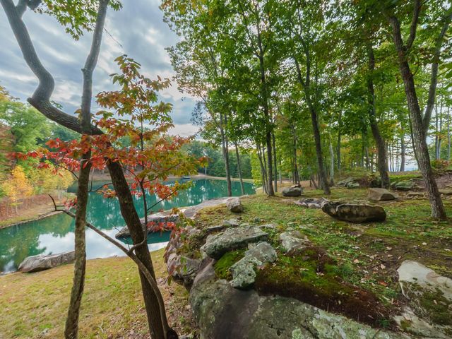 303 N Lake Dr, Altamont, TN 37301