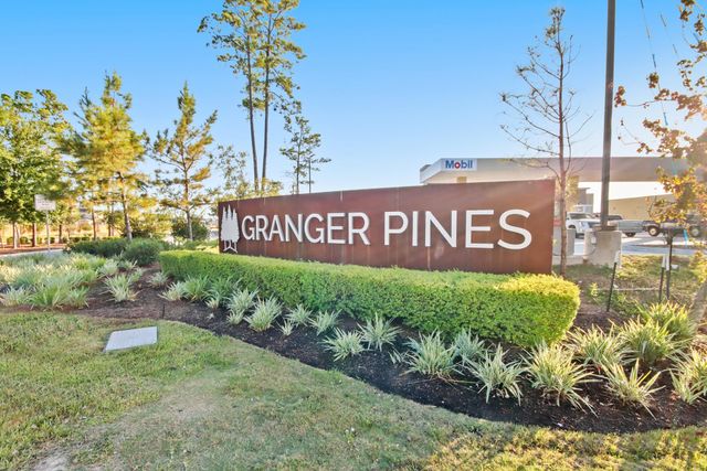 16808 Country Roots Avenue, Conroe, TX 77302