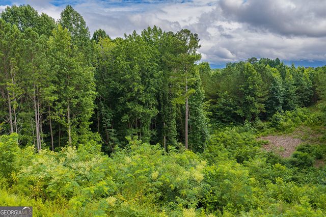 2027 Pleasant Valley Road, Talking Rock, GA 30175