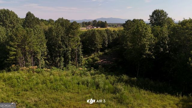 2027 Pleasant Valley Road, Talking Rock, GA 30175
