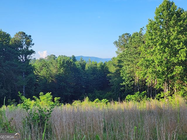 2027 Pleasant Valley Road, Talking Rock, GA 30175