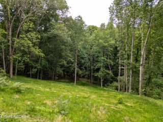 800 Lake Forest Drive, Lenoir City, TN 37772