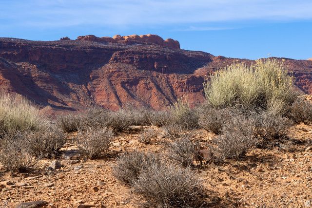 1144 N KAYENTA DR, Moab, UT 84532