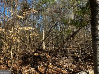0 Alpine Way, Lavonia, GA 30553