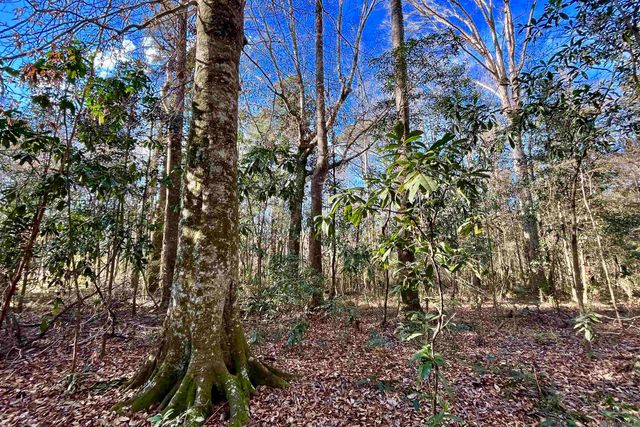 21 Lillian Ln, Ethel, LA 70730