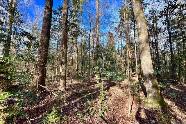 21 Lillian Ln, Ethel, LA 70730