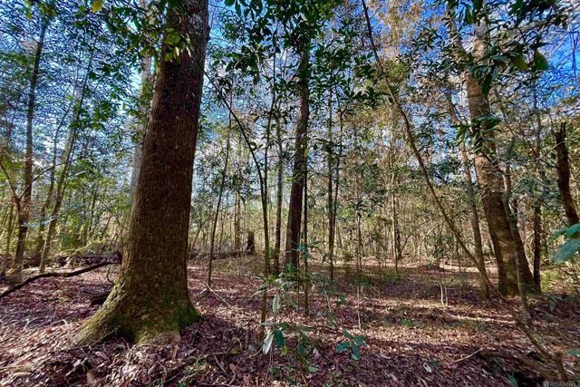 21 Lillian Ln, Ethel, LA 70730