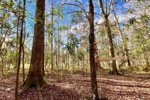 21 Lillian Ln, Ethel, LA 70730