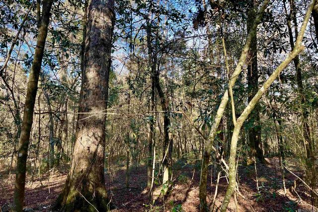 21 Lillian Ln, Ethel, LA 70730