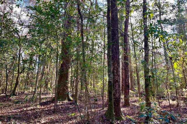 21 Lillian Ln, Ethel, LA 70730