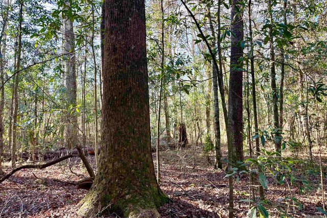 21 Lillian Ln, Ethel, LA 70730