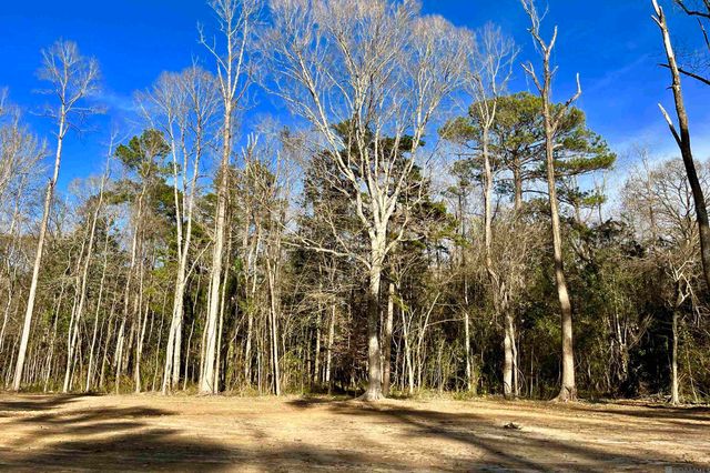 21 Lillian Ln, Ethel, LA 70730