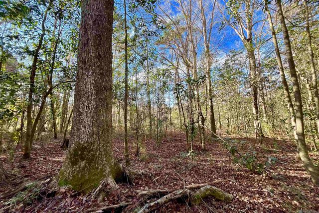 21 Lillian Ln, Ethel, LA 70730