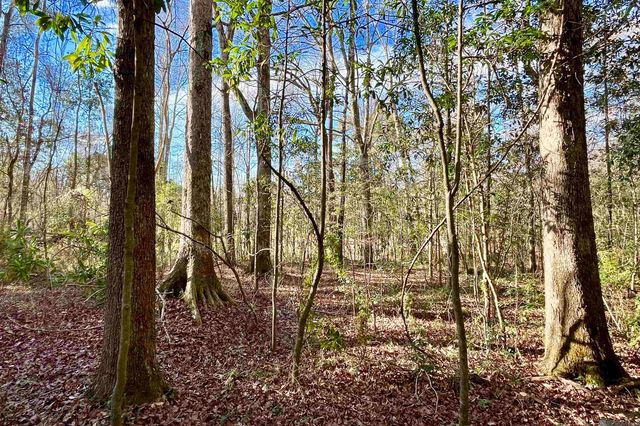 21 Lillian Ln, Ethel, LA 70730