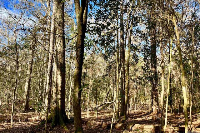 21 Lillian Ln, Ethel, LA 70730