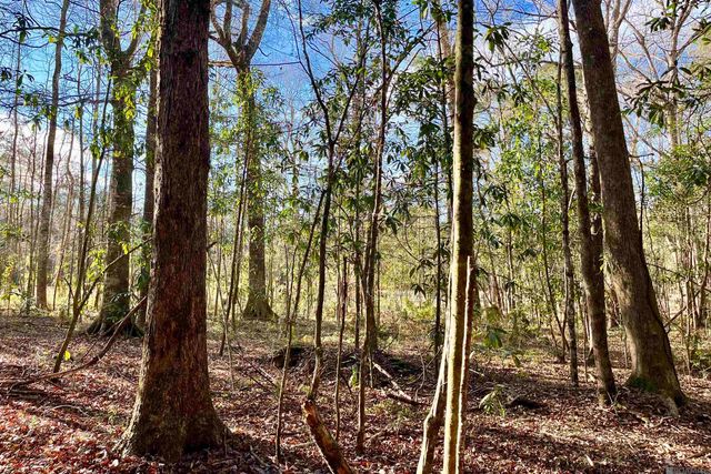 21 Lillian Ln, Ethel, LA 70730