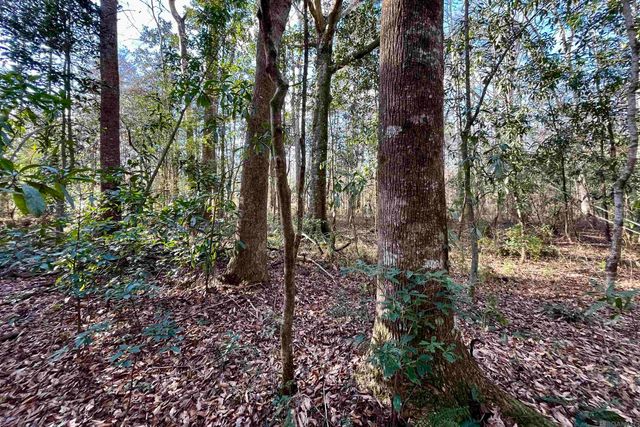 21 Lillian Ln, Ethel, LA 70730