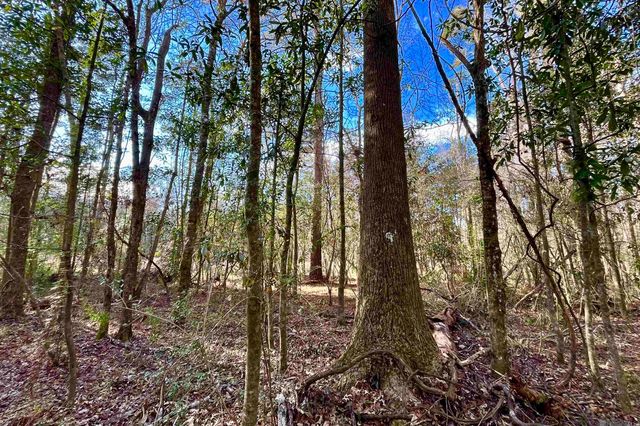 21 Lillian Ln, Ethel, LA 70730