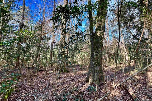 21 Lillian Ln, Ethel, LA 70730