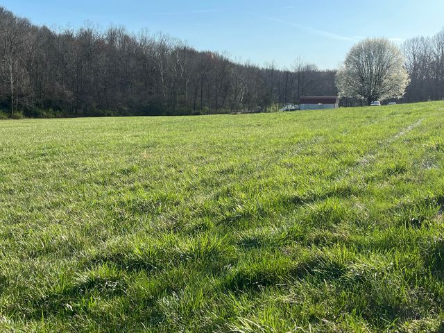 2864 Scrubgrass Road, Gravel Switch, KY 40328