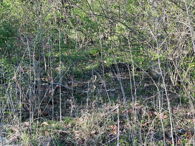 2864 Scrubgrass Road, Gravel Switch, KY 40328