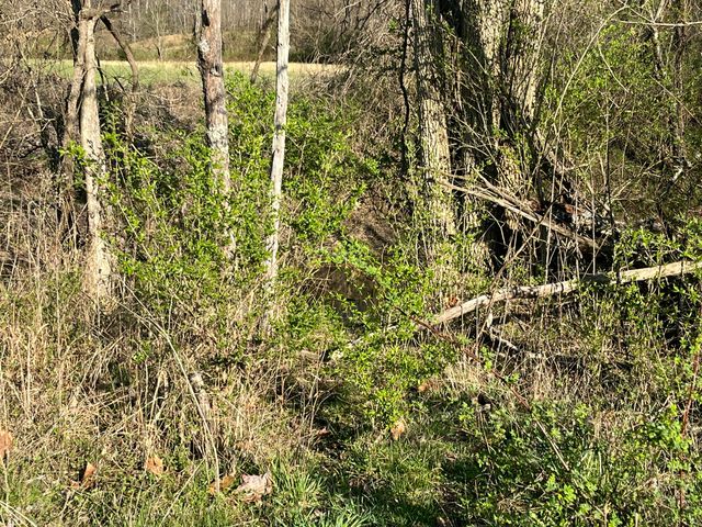 2864 Scrubgrass Road, Gravel Switch, KY 40328