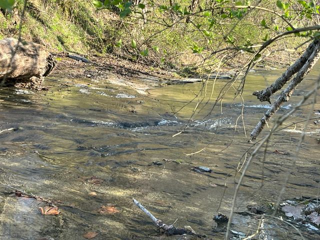 2864 Scrubgrass Road, Gravel Switch, KY 40328