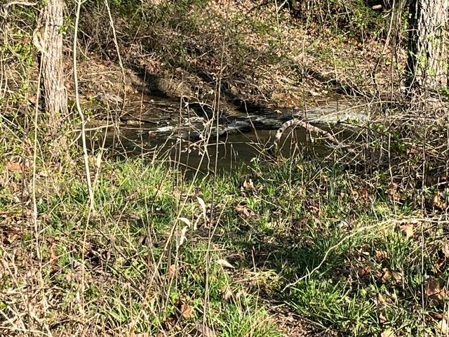 2864 Scrubgrass Road, Gravel Switch, KY 40328