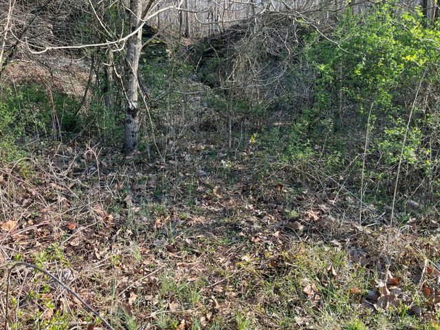 2864 Scrubgrass Road, Gravel Switch, KY 40328