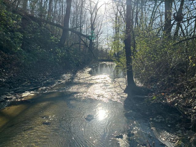 2864 Scrubgrass Road, Gravel Switch, KY 40328