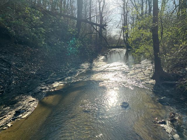 2864 Scrubgrass Road, Gravel Switch, KY 40328