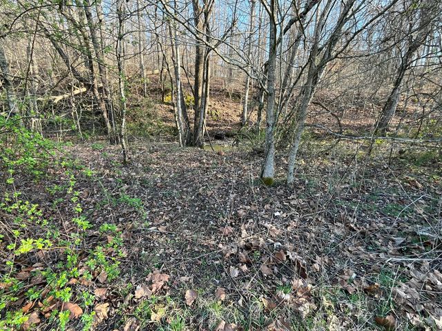 2864 Scrubgrass Road, Gravel Switch, KY 40328