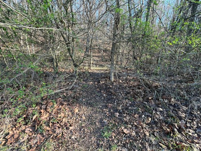 2864 Scrubgrass Road, Gravel Switch, KY 40328