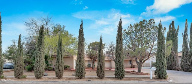 1617 TOMMY AARON Drive, El Paso, TX 79936