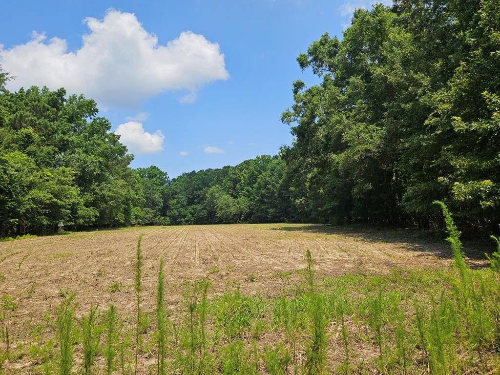 Lot 2a M W Rickenbaker Road, Summerton, SC 29148